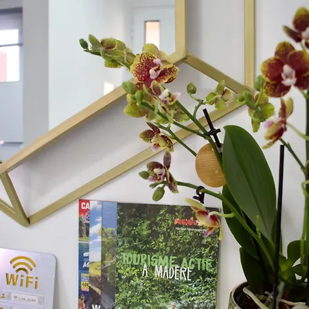 Appartement Golden Moon, *