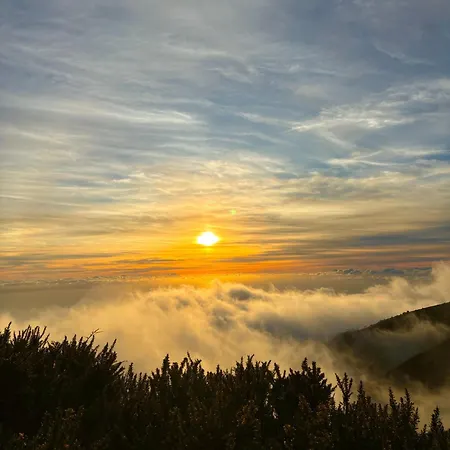 Golden Moon, Апартаменты *