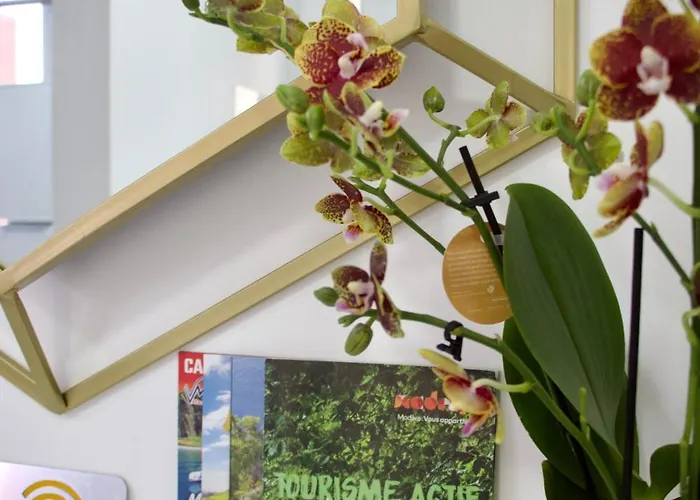 Appartement Golden Moon, *