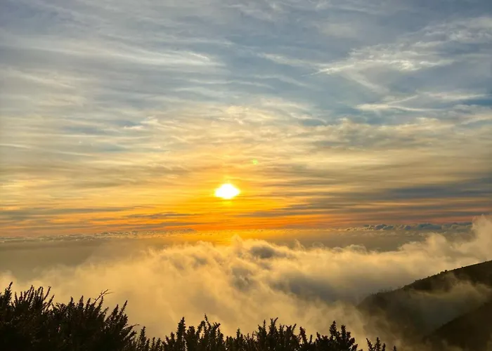 Golden Moon, 公寓 *